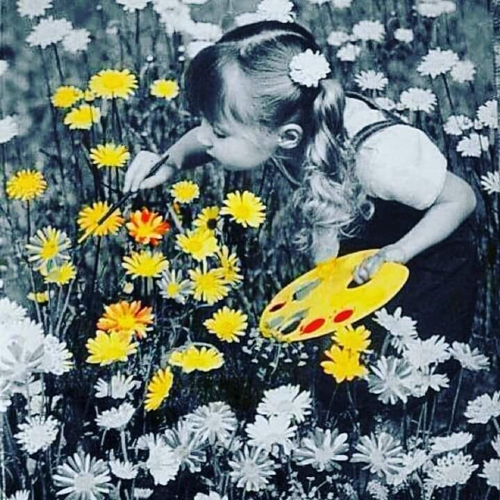 a53ece276fe8021ca650ec18d1927e07